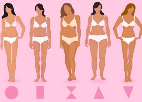 various women body types 
